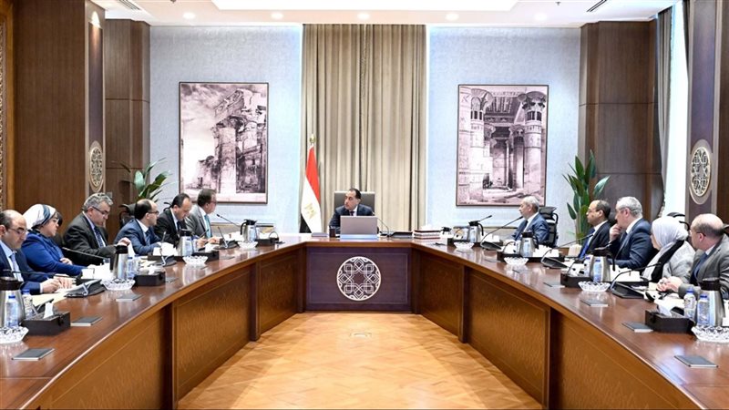 لقاء رئيس الوزراء