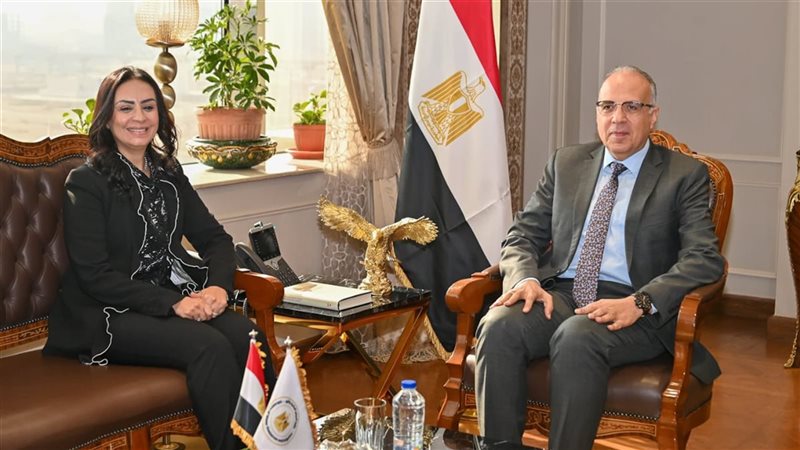 وزيرا الري والتضامن،