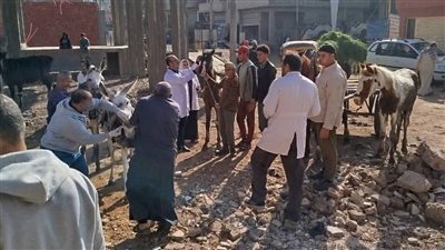 الزراعة: فرق التقصي والترصد الوبائي بالخدمات البيطرية تطرق أبواب 13 ألف منزل 