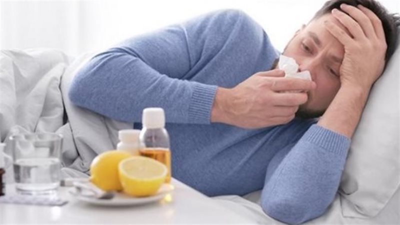 فيروس الإنفلونزا،