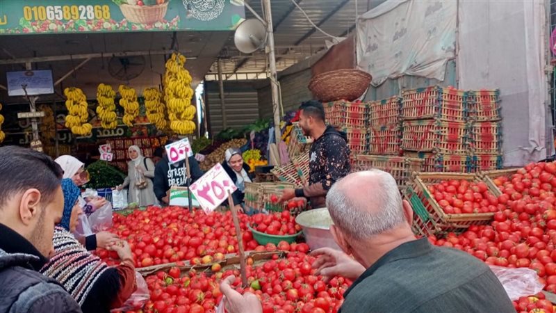 جولة محافظ الدقهلية