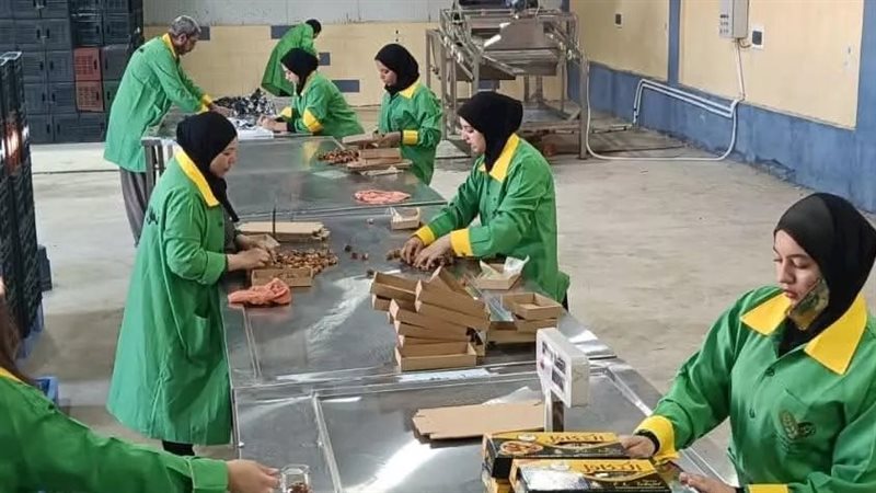 مصنع البلح، فيتو