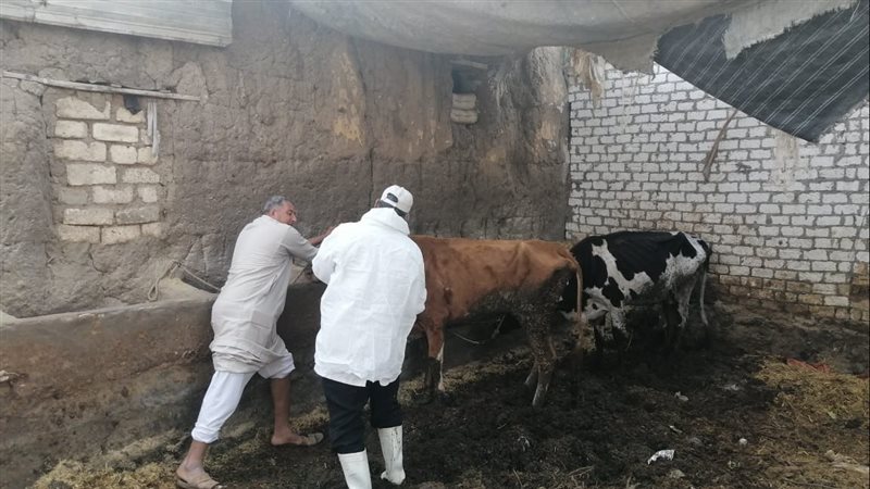 جانب من حملات التحصين،