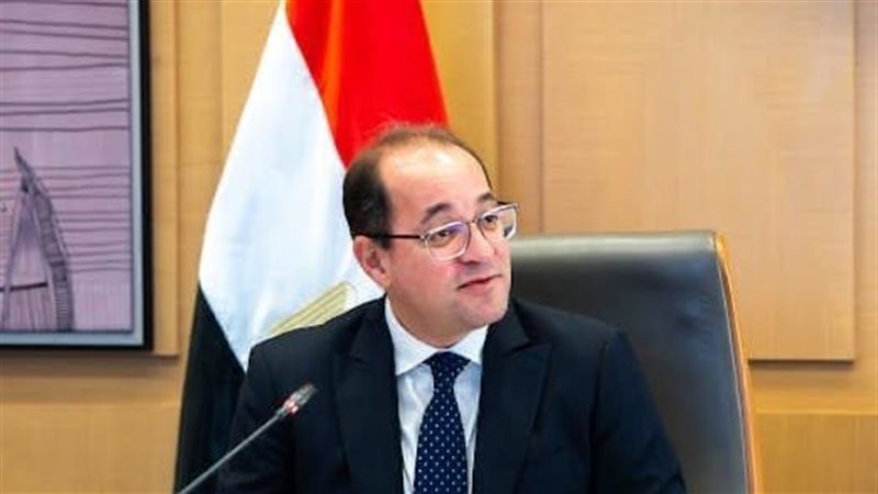 وزير المالية