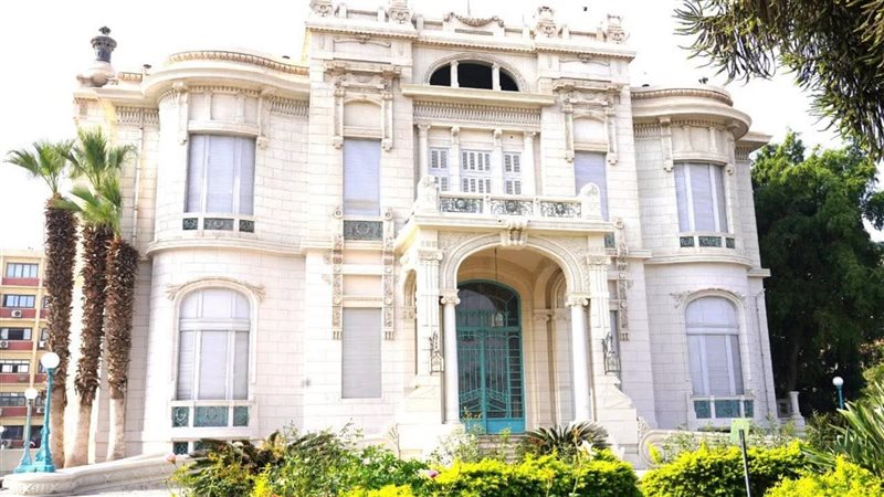 جامعة عين شمس، فيتو