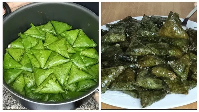 محشي الخس، فيتو