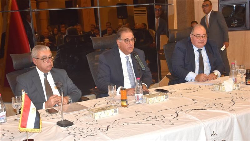 السفير نبيل حبشى،