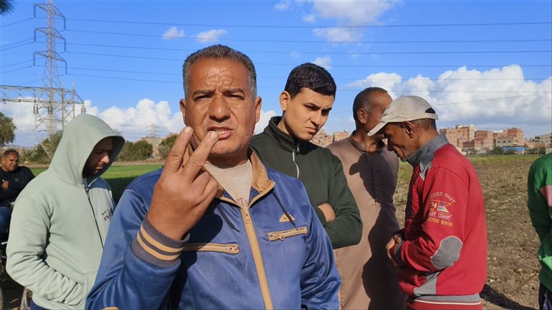 مزارعي منية سندوب