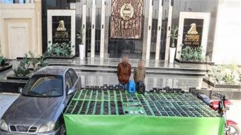 أخبار الحوادث اليوم،