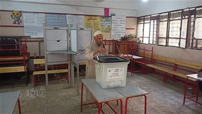 انتخابات مجلس النواب، كبار السن يتصدرون المشهد في لجنة العقاد بالمطرية (صور) 