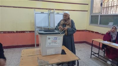 انتخابات النواب 2025، إقبال ملحوظ على لجنتي عثمان بن عفان وشجرة مريم بالمطرية (صور)