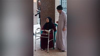 انتخابات النواب 2025، رئيس لجنة بالمطرية يخرج لمساعدة مسنة في الإدلاء بصوتها (فيديو)