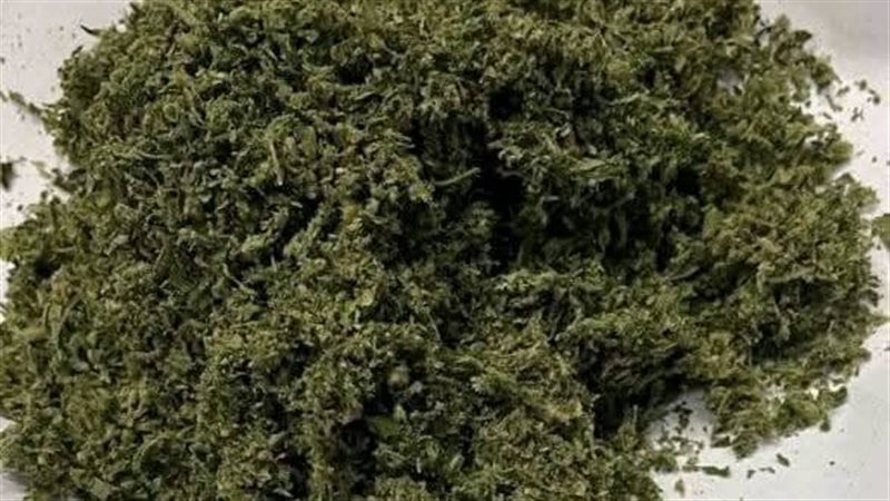 جمارك مطار الغردقة