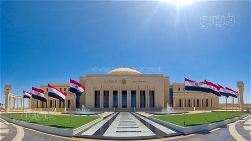 مجلس النواب، فيتو