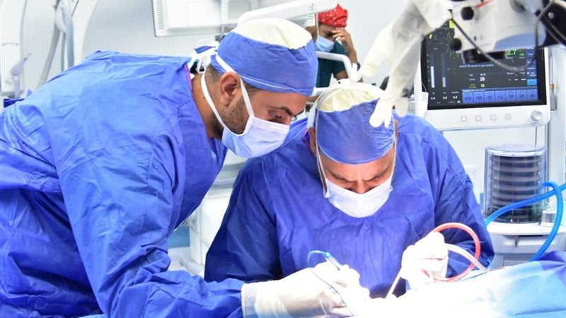 خدمات هيئة الرعاية