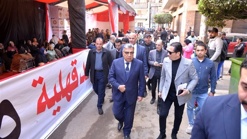 محافظ الدقهلية، فيتو