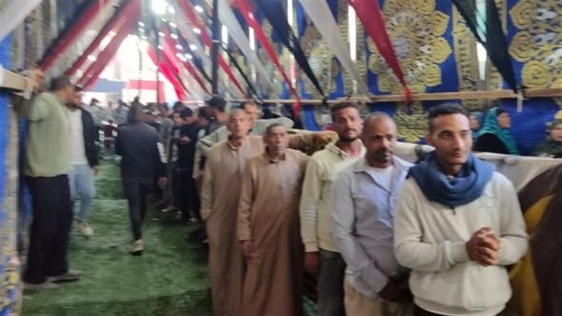 لجان شبين القناطر،فيتو