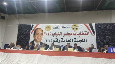 بالأرقام، الحصر العددي لجولة الإعادة بالدائرة الأولى بالمنصورة 