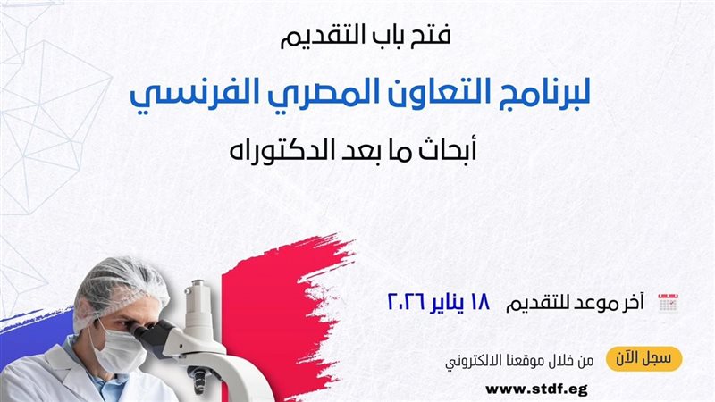 التعليم العالي والبحث