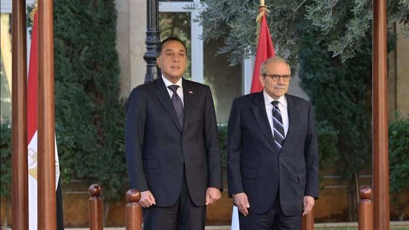 مجلس الوزراء , فيتو