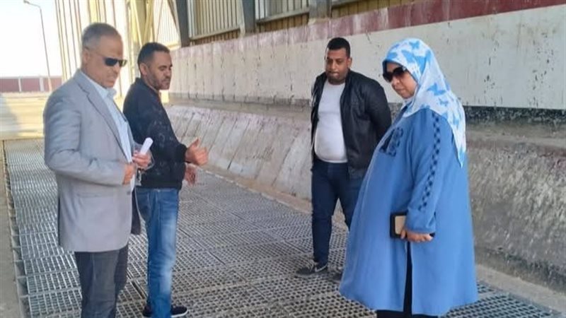تموين الوادي الجديد،