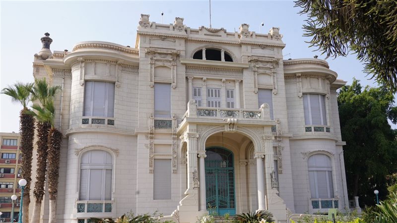 جامعة عين شمس، فيتو