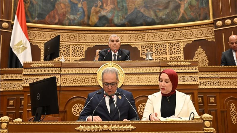 الجلسة العامة لمجلس
