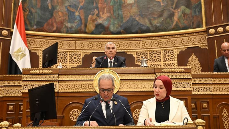 مجلس الشيوخ، فيتو