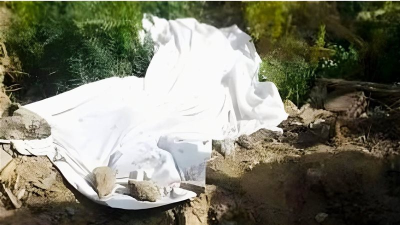 العثور على فتاة مقيدة