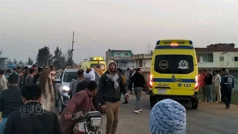 حوادث الطرق،فيتو