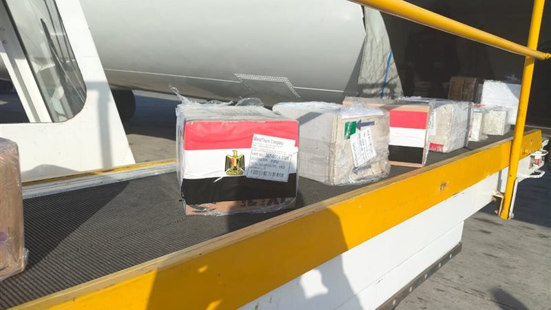 المساعدات المصرية