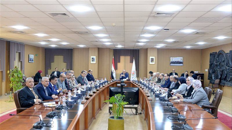 مجلس جامعة المنصورة،