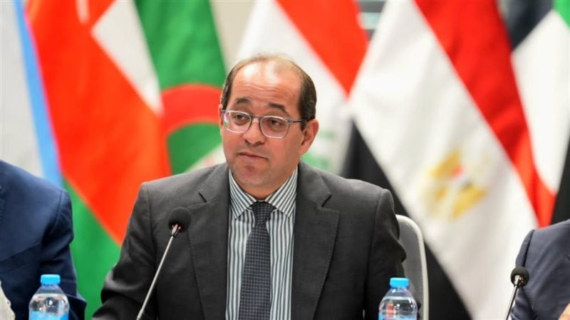 أحمد كجوك وزير المالية،