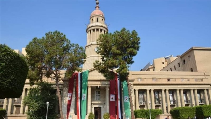 القصر العيني