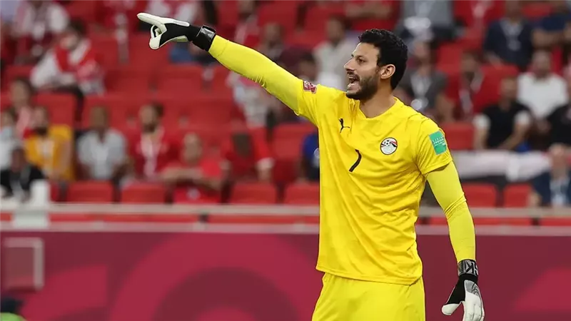 الشناوي، فيتو