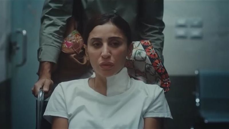 دينا الشربيني، فيتو