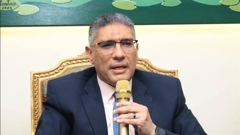 محافظ الجيزة 