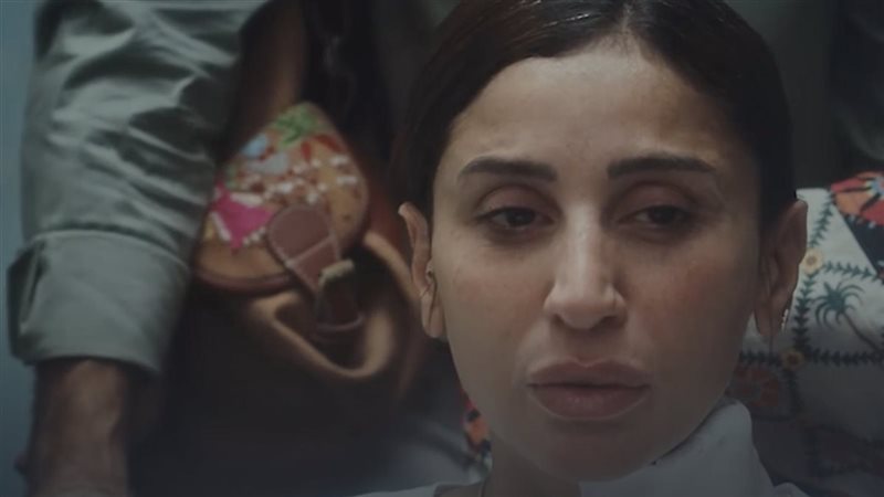 دينا الشربيني، فيتو