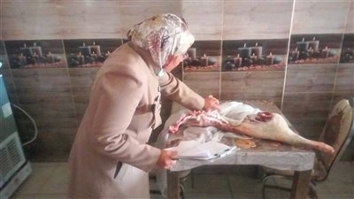 ضبط 100 كيلو لحوم مجهولة المصدر في حملة تموينية بالخانكة