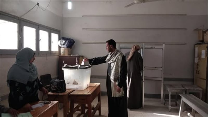 التصويت فى أسيوط،فيتو