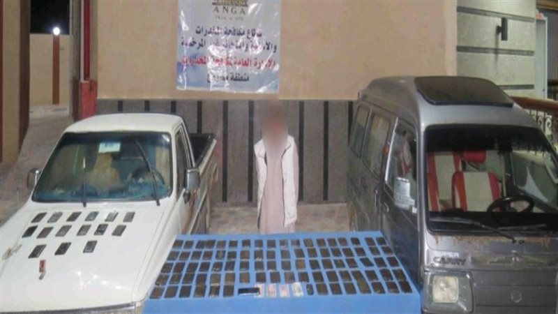 ضبط 292 طربة حشيش