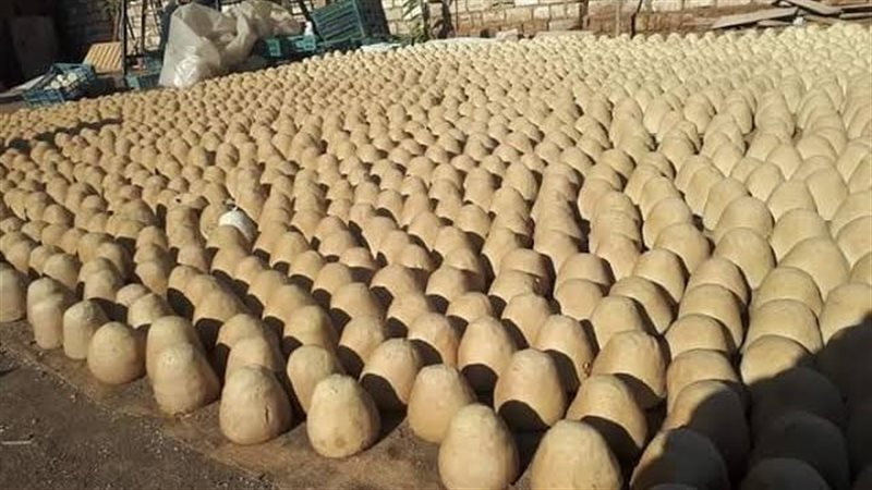هيئة سلامة الغذاء