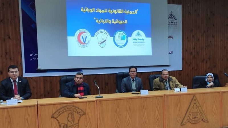 جامعة بنها 