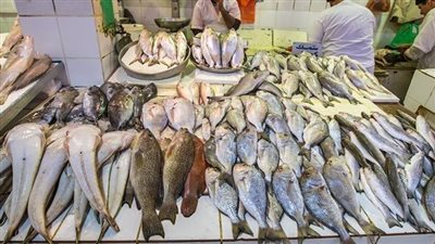 أسعار الأسماك اليوم الخميس 10-2-2022 في مصر.. ارتفاع البلطي واستقرار الجمبري