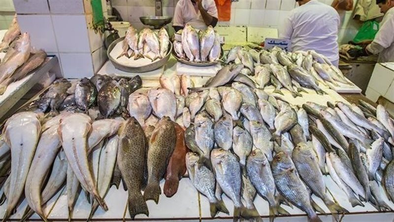أسعار الأسماك