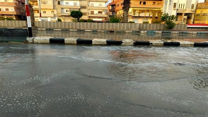 الشرقية 