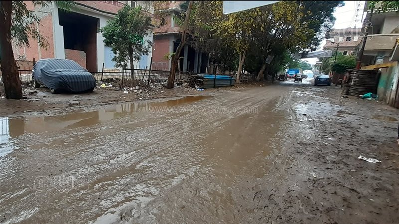 شوارع العربية