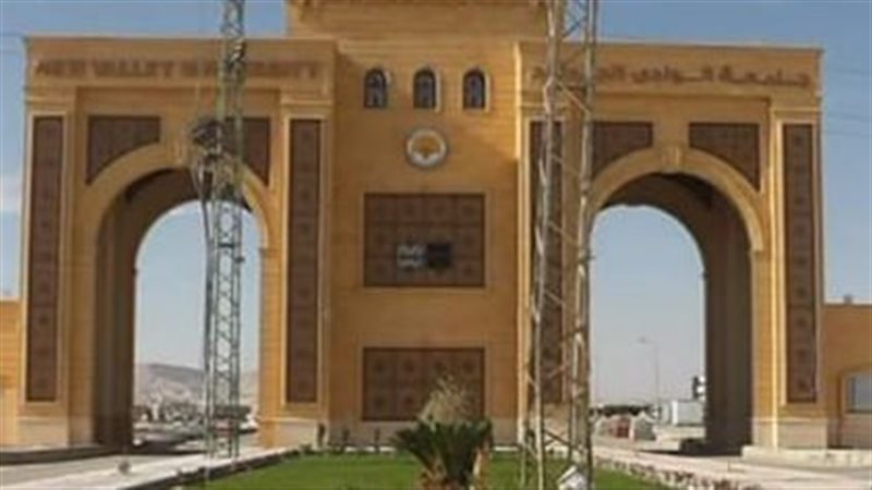 جامعة الوادى الجديد