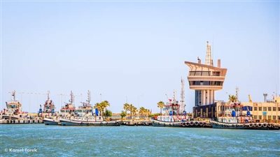 ميناء دمياط يستقبل 26 سفينة متنوعة 
