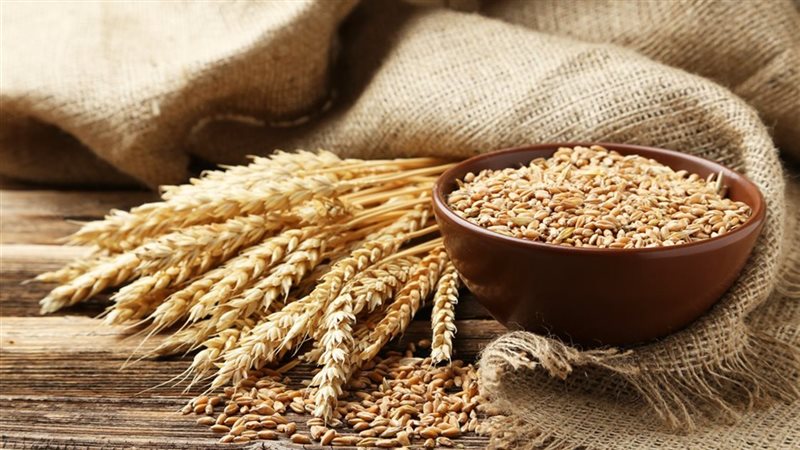 استيراد القمح